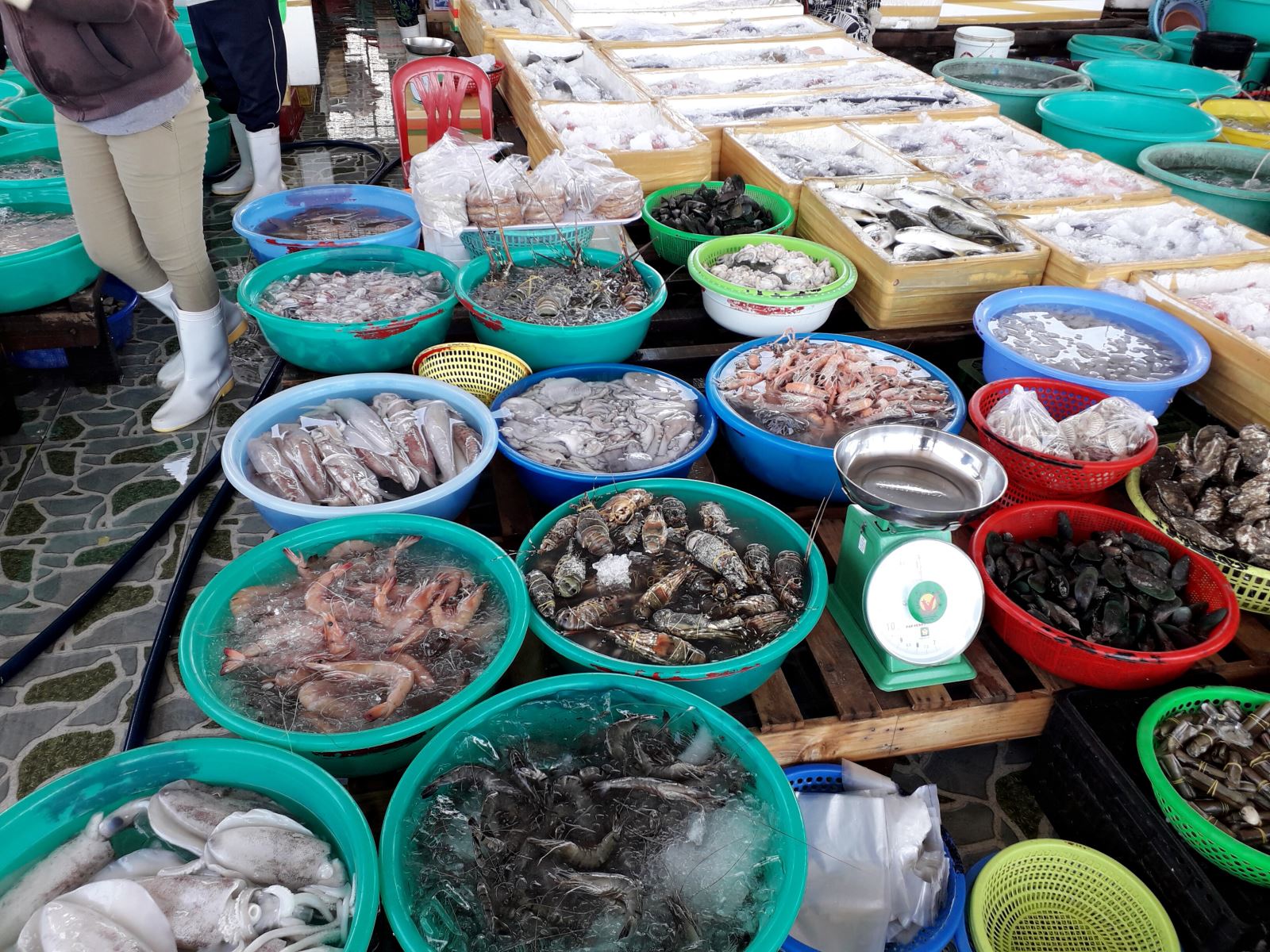 Chợ Xóm Mới: Ngôi chợ cổ kính xác lập kỷ lục ở Hà Nội