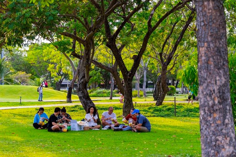 Công viên Thống Nhất ở đâu? Tọa độ vui chơi nổi tiếng giữa lòng Thủ Đô