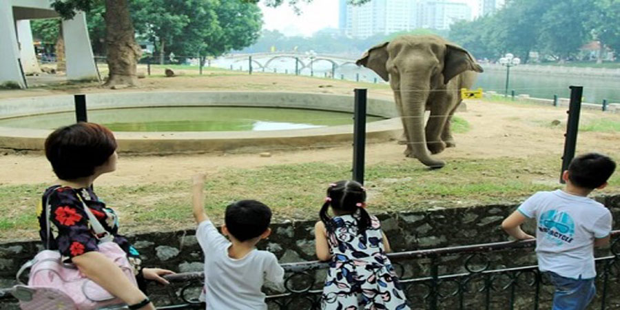 Công viên Thủ Lệ: Thiên đường vui chơi giữa lòng Hà Nội