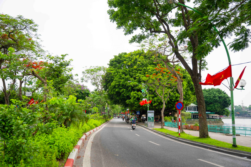 Đường Thanh Niên: Cung đường tình yêu lãng mạn giữa lòng thành phố