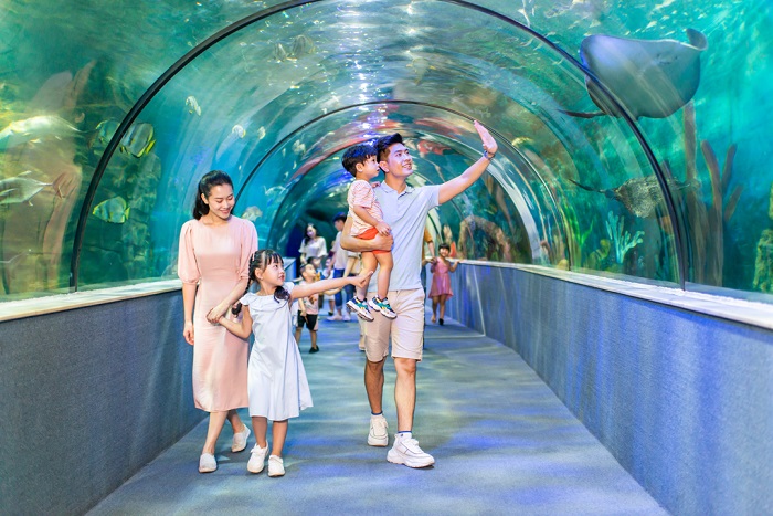 Khu vui chơi Vinpearl Hà Nội: Trải nghiệm thiên đường giải trí hấp dẫn