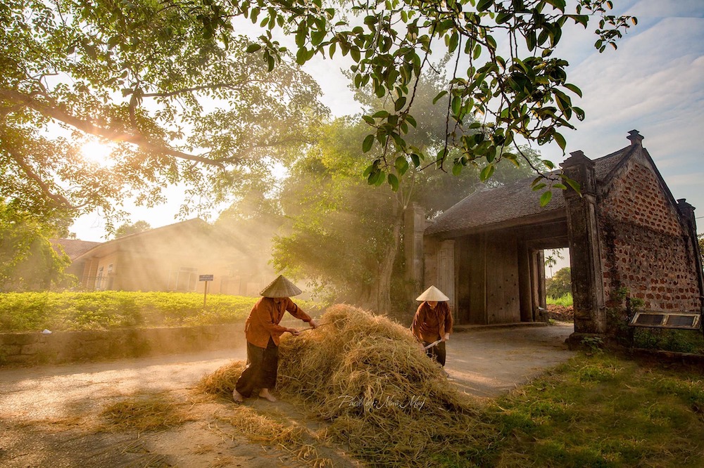 Làng cổ Đường Lâm: Hành trình về nguồn cùng hồn quê xứ Đoài