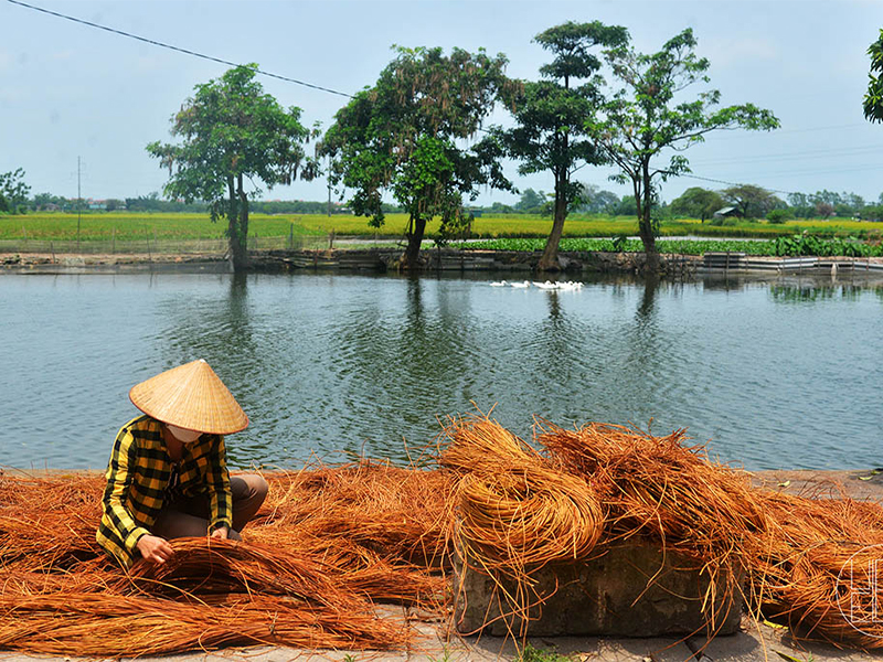 Làng nghề Phú Xuyên: Vị trí, lịch sử hình thành và lưu ý khi tham quan