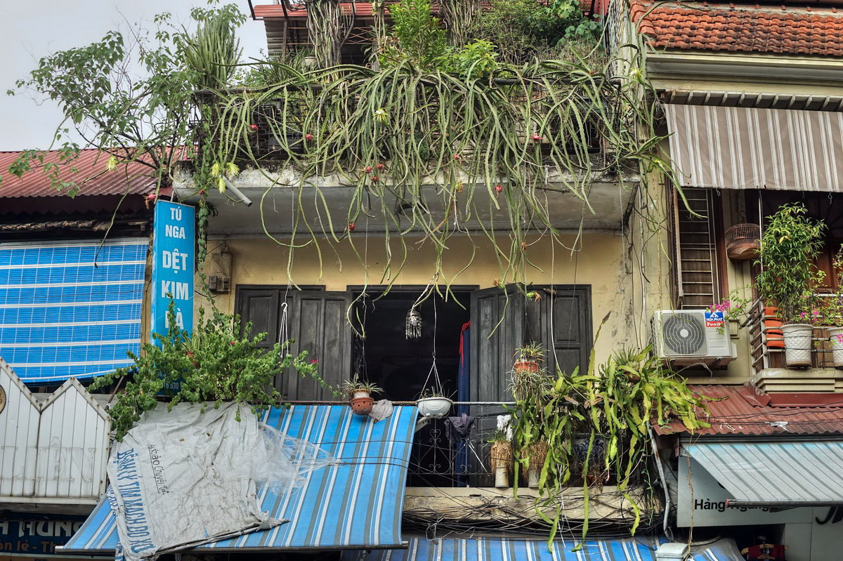Phố Hàng Ngang – Lịch sử hình thành từ xa xưa