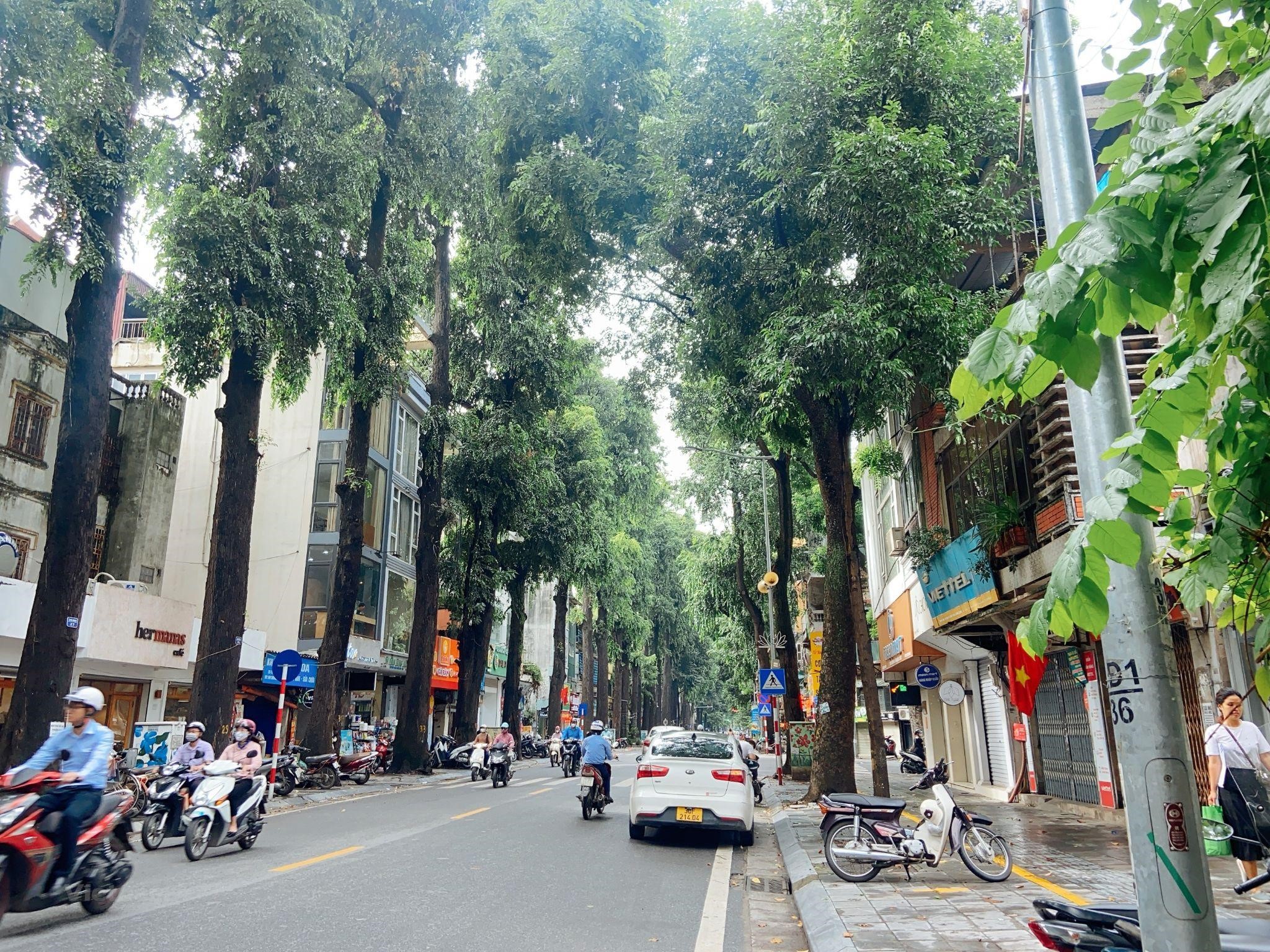 Phố Lê Duẩn: Khám Phá Vẻ Đẹp Sôi Động Giữa Lòng Hà Nội