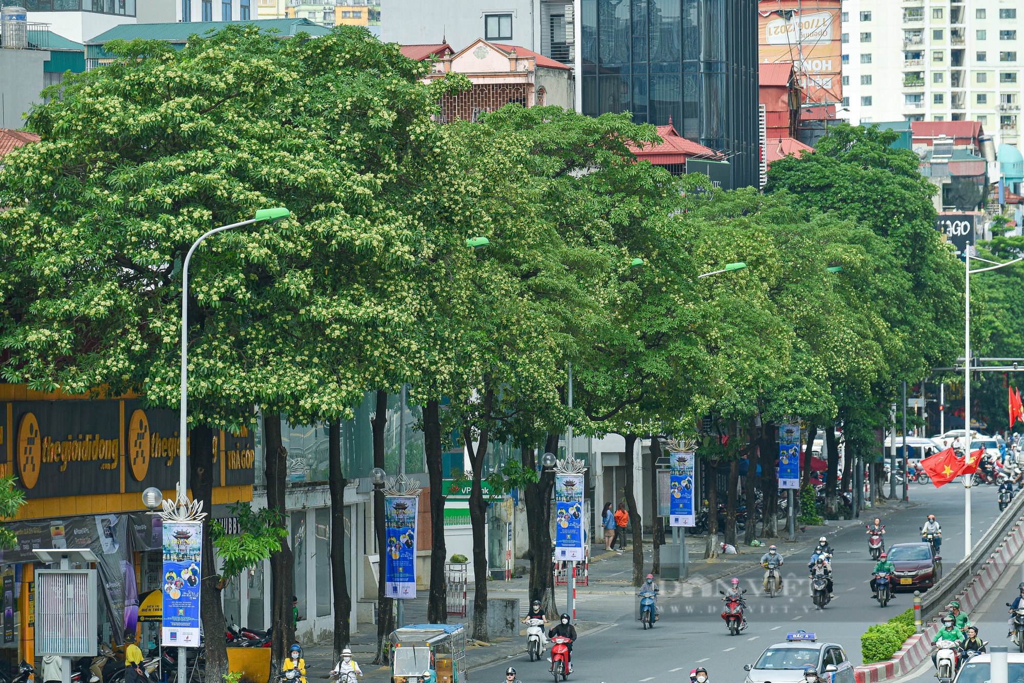 Phố Nguyễn Chí Thanh Hà Nội: Khu phố năng động giữa lòng thủ đô