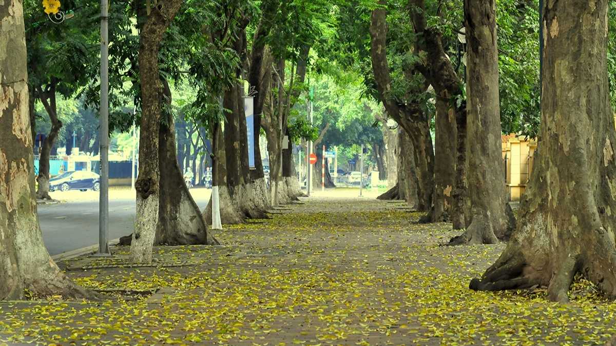Phố Phan Đình Phùng: Cung đường check in lãng mạn nhất Hà Nội