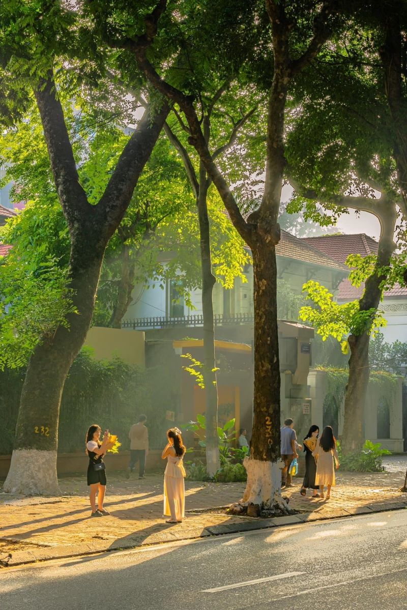 Phố Phan Đình Phùng: Cung đường check in lãng mạn nhất Hà Nội
