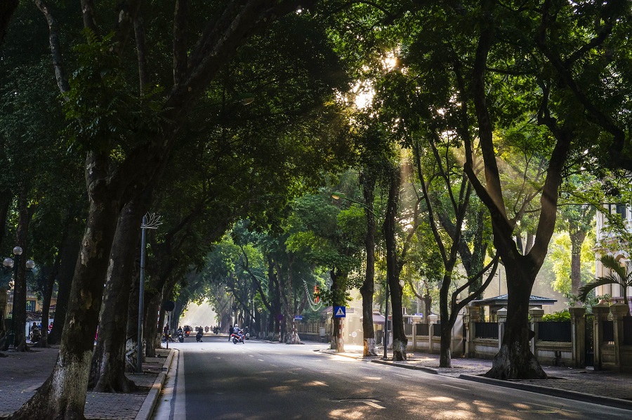 Phố Phan Đình Phùng: Cung đường check in lãng mạn nhất Hà Nội