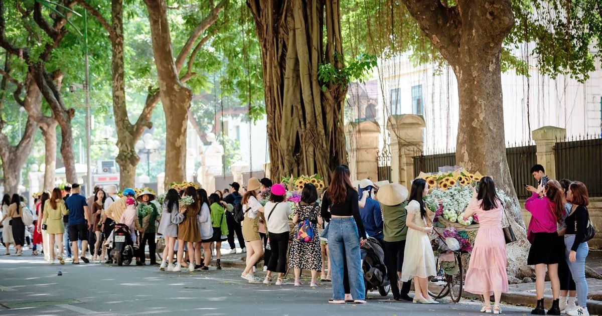 Phố Phan Đình Phùng: Cung đường check in lãng mạn nhất Hà Nội