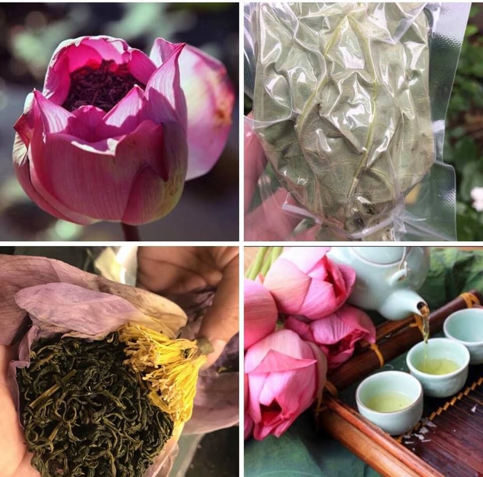 Trà sen Tây Hồ: Hương vị tinh hoa của đất Tràng An