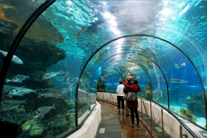 Vincom Mega Mall Times City: Thiên Đường Mua Sắm Và Giải Trí Đẳng Cấp Giữa Lòng Hà Nội