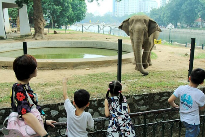 Vườn bách thú Hà Nội: Điểm tham quan kỳ thú cho cả gia đình