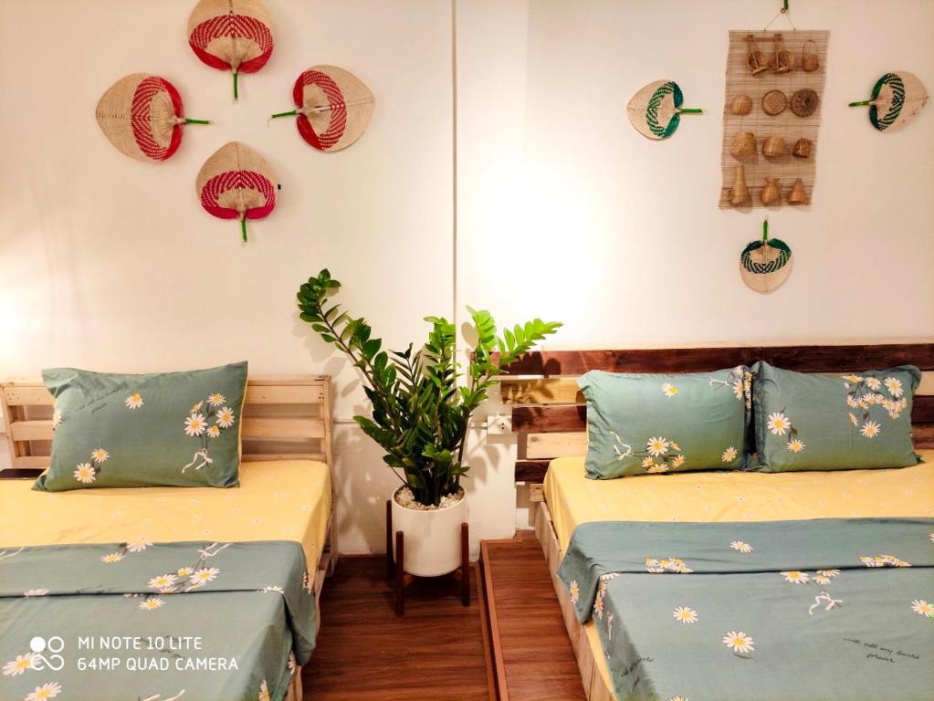 Review Sunny Homestay Hanoi: Trải Nghiệm Nghỉ Dưỡng Đẳng Cấp Giữa Lòng Thủ Đô